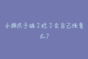 小猫爪子破了烂了会自己恢复么？