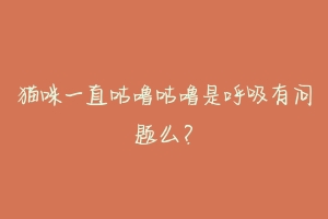 猫咪一直咕噜咕噜是呼吸有问题么?