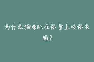 为什么猫咪趴在你身上咬你衣服?
