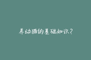 养幼猫的基础知识?
