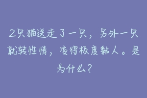 2只猫送走了一只，另外一只就转性情，变得极度黏人。是为什么？