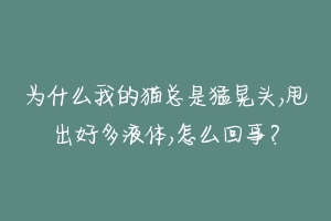 为什么我的猫总是猛晃头,甩出好多液体,怎么回事？