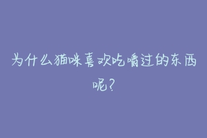 为什么猫咪喜欢吃嚼过的东西呢?
