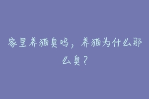 家里养猫臭吗,养猫为什么那么臭?