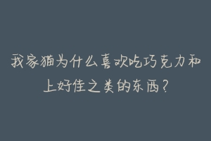 我家猫为什么喜欢吃巧克力和上好佳之类的东西?