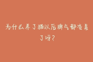 为什么养了猫以后脾气都变差了呀?