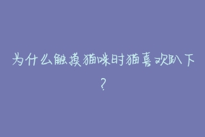 为什么触摸猫咪时猫喜欢趴下?