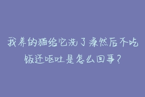 我养的猫给它洗了澡然后不吃饭还呕吐是怎么回事？