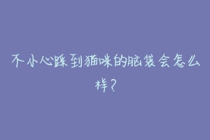 不小心踩到猫咪的脑袋会怎么样?
