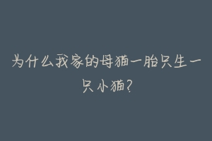 为什么我家的母猫一胎只生一只小猫?