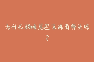 为什么猫咪尾巴末端有骨头吗?-动物百科