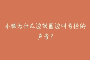 小猫为什么边转圈边叫奇怪的声音？