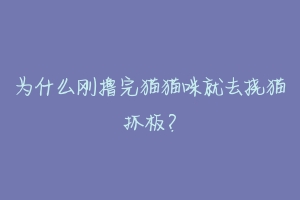 为什么刚撸完猫猫咪就去挠猫抓板?