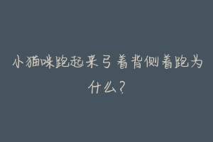 小猫咪跑起来弓着背侧着跑为什么?