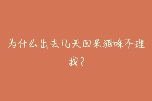为什么出去几天回来猫咪不理我?