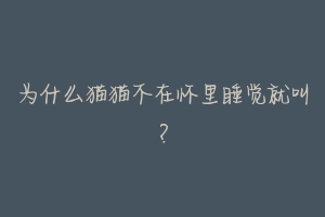 为什么猫猫不在怀里睡觉就叫?