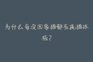 为什么每次回家猫都在挠猫抓板?