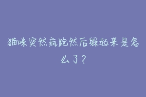 猫咪突然疯跑然后躲起来是怎么了？