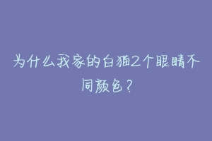 为什么我家的白猫2个眼睛不同颜色？