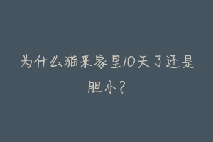 为什么猫来家里10天了还是胆小?