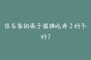 住在家的燕子被猫吃掉了好不好?-动物百科