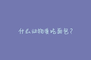 什么动物爱吃面包？-动物百科