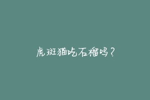 虎斑猫吃石榴吗?