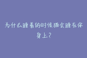 为什么睡着的时候猫会睡在你身上?