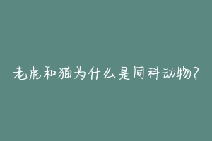 老虎和猫为什么是同科动物?-动物百科