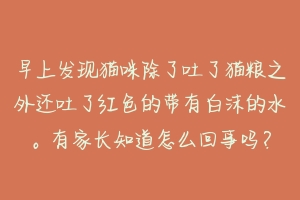 早上发现猫咪除了吐了猫粮之外还吐了红色的带有白沫的水。有家长知道怎么回事吗?