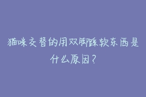 猫咪交替的用双脚踩软东西是什么原因？