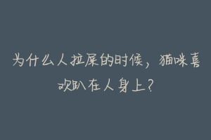 为什么人拉屎的时候,猫咪喜欢趴在人身上?-动物百科