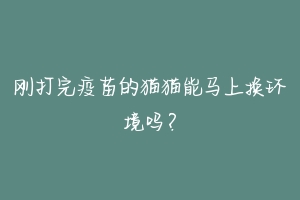刚打完疫苗的猫猫能马上换环境吗?