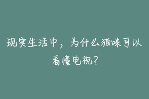 现实生活中，为什么猫咪可以看懂电视？-动物百科