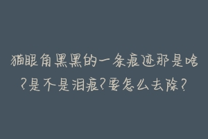 猫眼角黑黑的一条痕迹那是啥?是不是泪痕?要怎么去除?