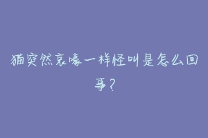 猫突然哀嚎一样怪叫是怎么回事?
