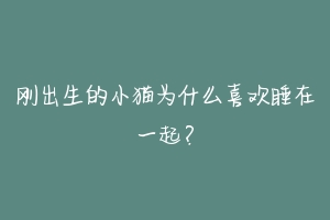 刚出生的小猫为什么喜欢睡在一起?