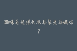 猫咪总是摇头甩耳朵是耳螨吗?