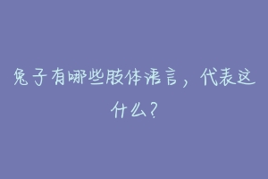兔子有哪些肢体语言,代表这什么?