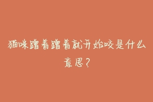 猫咪蹭着蹭着就开始咬是什么意思?