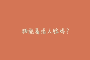 猫能看清人脸吗?-动物百科