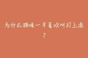 为什么猫咪一早喜欢叫打上滚?