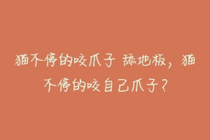 猫不停的咬爪子 舔地板,猫不停的咬自己爪子?-动物百科