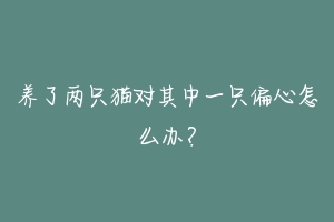 养了两只猫对其中一只偏心怎么办?-动物百科