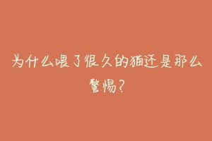 为什么喂了很久的猫还是那么警惕?-动物百科
