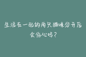 生活在一起的两只猫咪分开后会伤心吗?