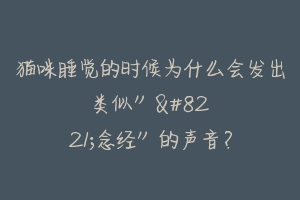 猫咪睡觉的时候为什么会发出类似””念经”的声音？