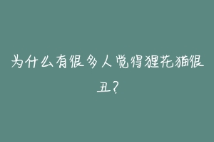 为什么有很多人觉得狸花猫很丑?
