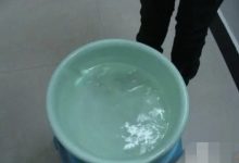 我的猫很皮,可不可以帮我管它,什么意思?-动物百科