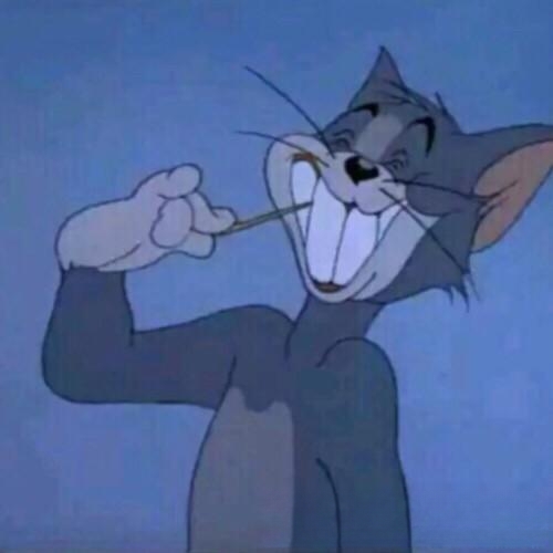 家里来了只猫很怕人，无法接近，怎么办？